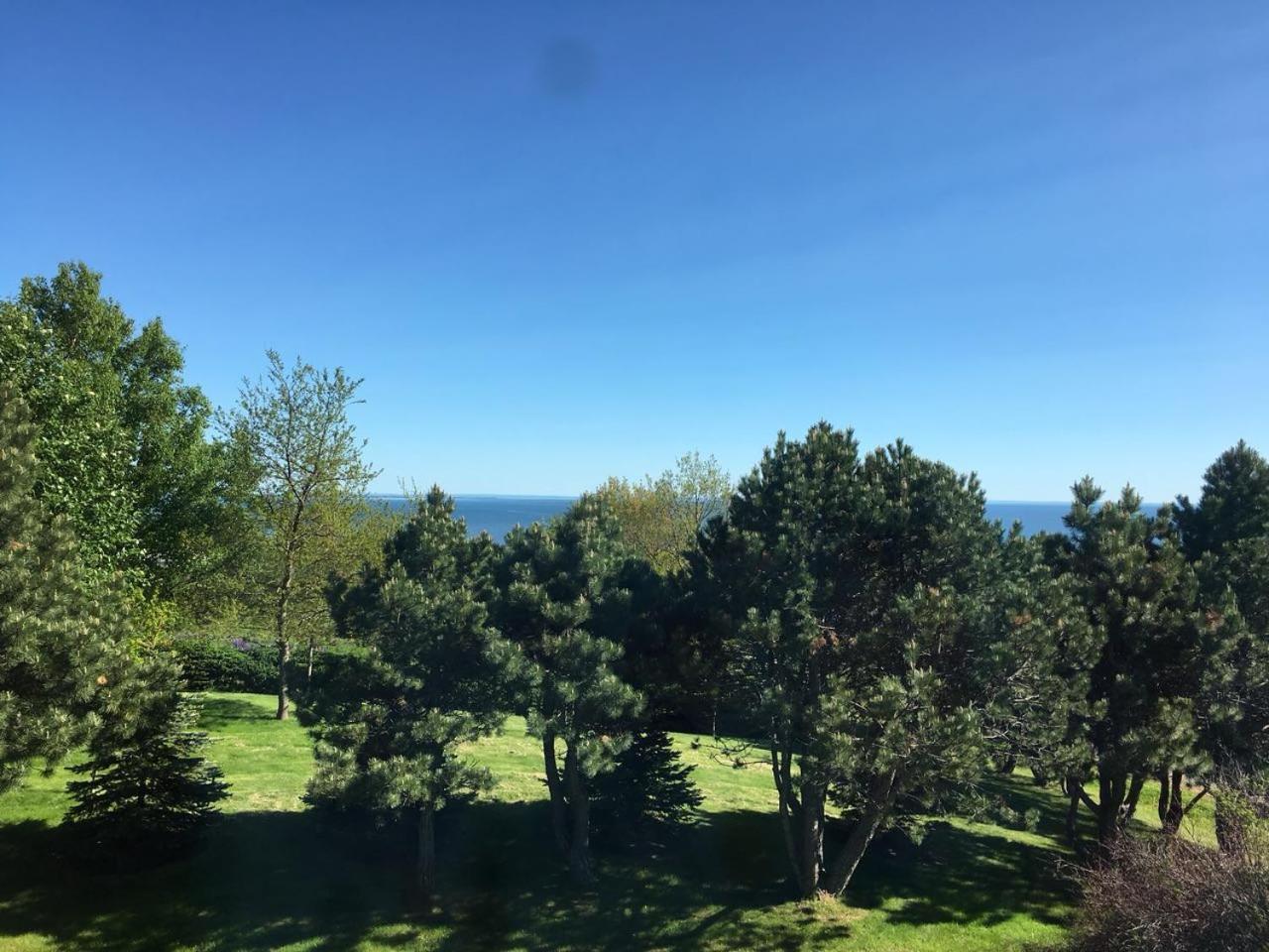 Seaview White House Bed and Breakfast Stratford Exteriör bild