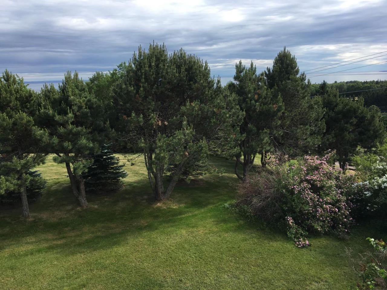 Seaview White House Bed and Breakfast Stratford Exteriör bild